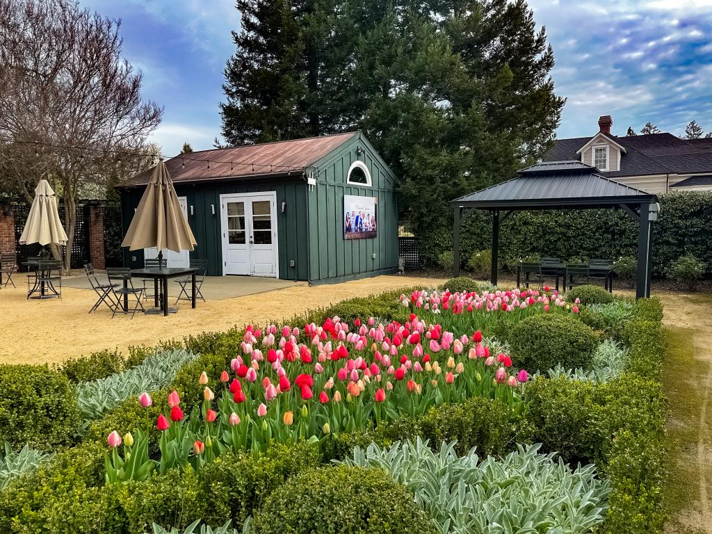 Elizabeth Spencer Tulips in the Garden