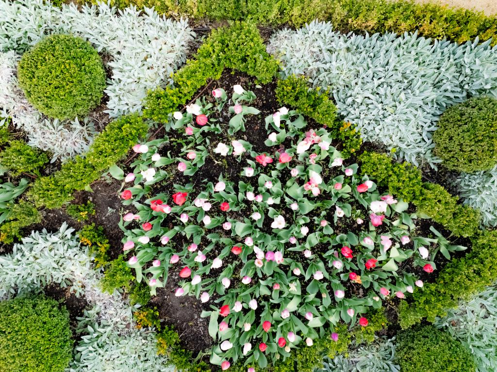Elizabeth Spencer Garden from Above